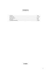 Literatūros atgimimas: naujieji autoriai 2 puslapis