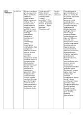 Literatūros atgimimas: naujieji autoriai 7 puslapis