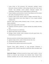 Lizingas (tarptautinės ilgalaikės nuomos operacijos) 11 puslapis