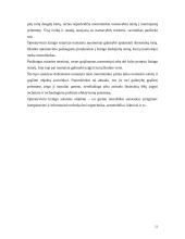 Lizingas (tarptautinės ilgalaikės nuomos operacijos) 12 puslapis