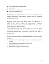 Lizingas (tarptautinės ilgalaikės nuomos operacijos) 14 puslapis