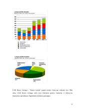 Lizingas (tarptautinės ilgalaikės nuomos operacijos) 19 puslapis
