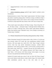 Lizingas (tarptautinės ilgalaikės nuomos operacijos) 20 puslapis