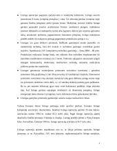 Lizingas (tarptautinės ilgalaikės nuomos operacijos) 4 puslapis