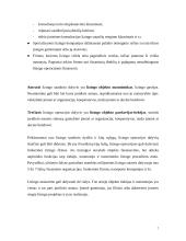 Lizingas (tarptautinės ilgalaikės nuomos operacijos) 7 puslapis