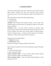 Lizingas (tarptautinės ilgalaikės nuomos operacijos) 9 puslapis