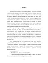 Lizingo auditas 2 puslapis