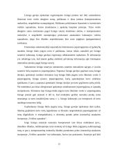 Lizingo auditas 11 puslapis