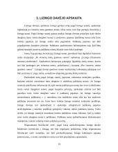 Lizingo auditas 13 puslapis