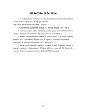 Lizingo auditas 17 puslapis