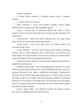 Lizingo auditas 3 puslapis