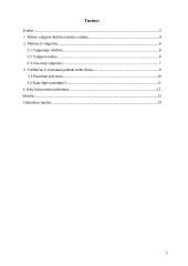 Maisto valgymo kultūra 2 puslapis