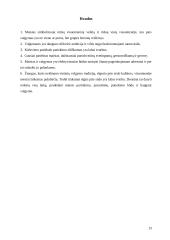 Maisto valgymo kultūra 13 puslapis