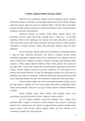 Maisto valgymo kultūra 4 puslapis