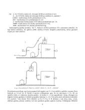 Medieną skaldantys mikroorganizmai 6 puslapis
