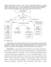 Medieną skaldantys mikroorganizmai 8 puslapis