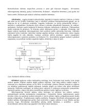 Medieną skaldantys mikroorganizmai 9 puslapis