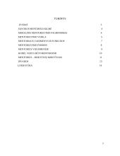 Mentoriavimo modelis 2 puslapis