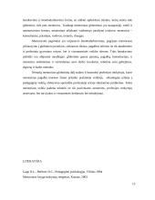 Mentoriavimo modelis 13 puslapis