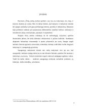 Mentoriavimo modelis 3 puslapis