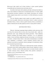 Mentoriavimo modelis 5 puslapis