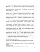 Mentoriavimo modelis 7 puslapis