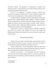 Mentoriavimo modelis 8 puslapis