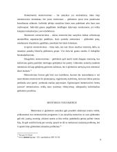 Mentoriavimo modelis 9 puslapis