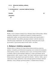 Miesto želdynų urbanistinė reikšmė ir jų svarbiausios funkcijos 3 puslapis