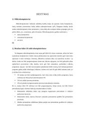 Mikrokompiuterių realaus laiko sistemos 4 puslapis