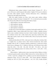 Miško ūkio politika 4 puslapis