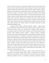 Miško ūkio politika 9 puslapis