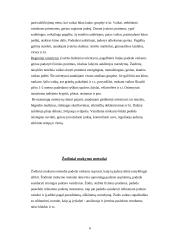 Mokymo metodai fizinėje veikloje 5 puslapis