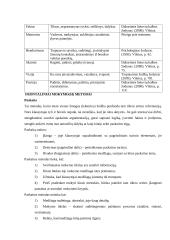 Mokymo metodai, orientuoti į besimokantįjį 7 puslapis