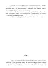 Mokinio ir mokytojo priešprieša ir pastangos būti laisvais žmonėmis 17 puslapis