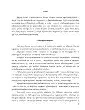 Mokinių adaptacijos mokykloje sunkumai ir jų priežastys bei sprendimų būdai 2 puslapis