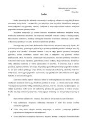 Mokinių mokymosi motyvacijos kėlimo problema šiuolaikinėje mokykloje 3 puslapis