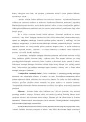 Mokinių žinių tikrinimas 3 puslapis