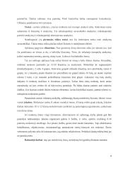 Mokinių žinių tikrinimas 4 puslapis