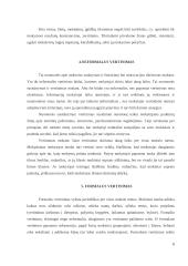 Mokinių žinių tikrinimas 6 puslapis