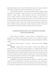 Mokinių žinių tikrinimas 7 puslapis