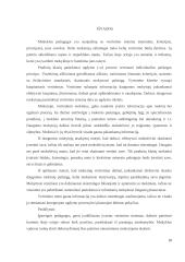 Mokinių žinių tikrinimas 10 puslapis