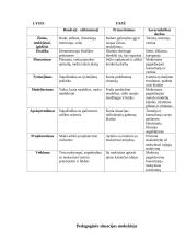 Mokytojo vaidmuo 10 puslapis