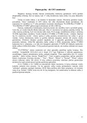 Monitoriai, monitorių tipai, struktūra 12 puslapis