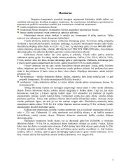 Monitoriai, monitorių tipai, struktūra 4 puslapis