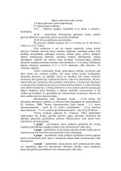 Moterų treniruočių metodikos ypatumai 3 puslapis