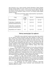 Moterų treniruočių metodikos ypatumai 6 puslapis