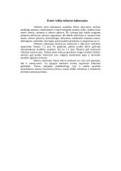 Moterų treniruočių metodikos ypatumai 7 puslapis