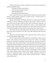 Muzikos terapija – pagalba smurtą ir prievartą patyrusiems vaikams 11 puslapis