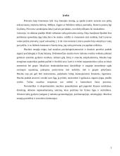 Muzikos terapija – pagalba smurtą ir prievartą patyrusiems vaikams 3 puslapis